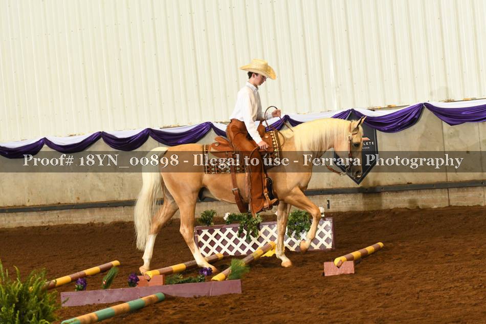 Proof 18YN_00898