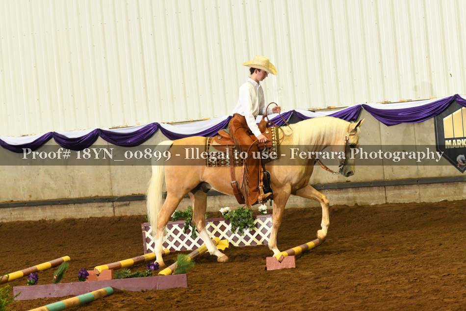Proof 18YN_00899