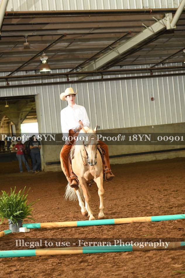 Proof 18YN_00901