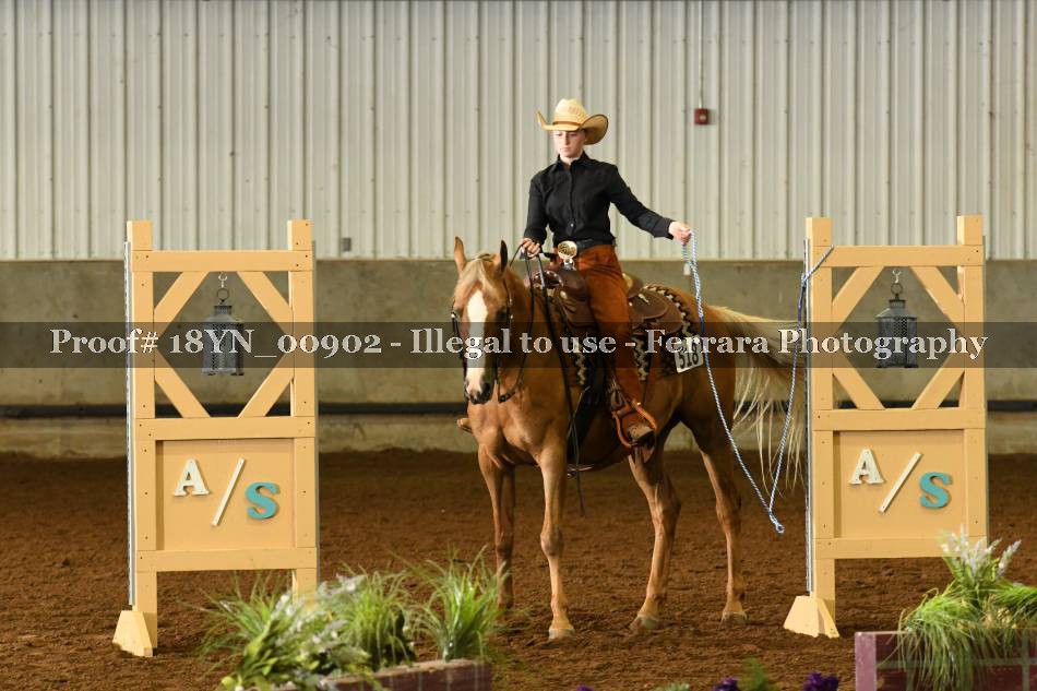 Proof 18YN_00902