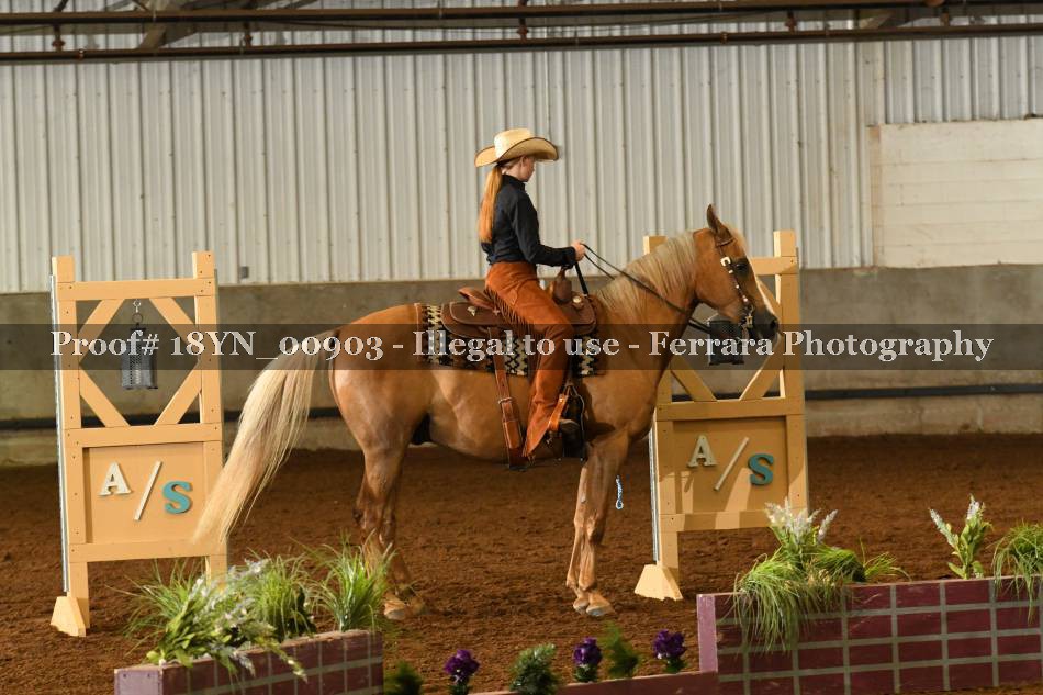 Proof 18YN_00903