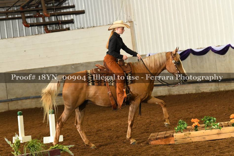 Proof 18YN_00904