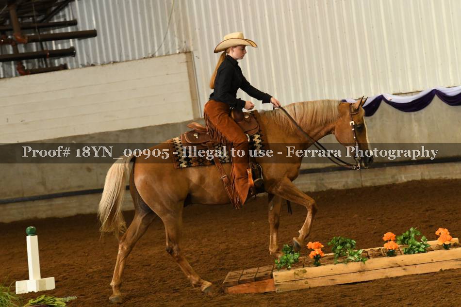 Proof 18YN_00905
