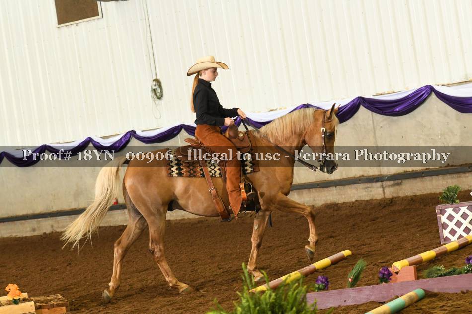 Proof 18YN_00906