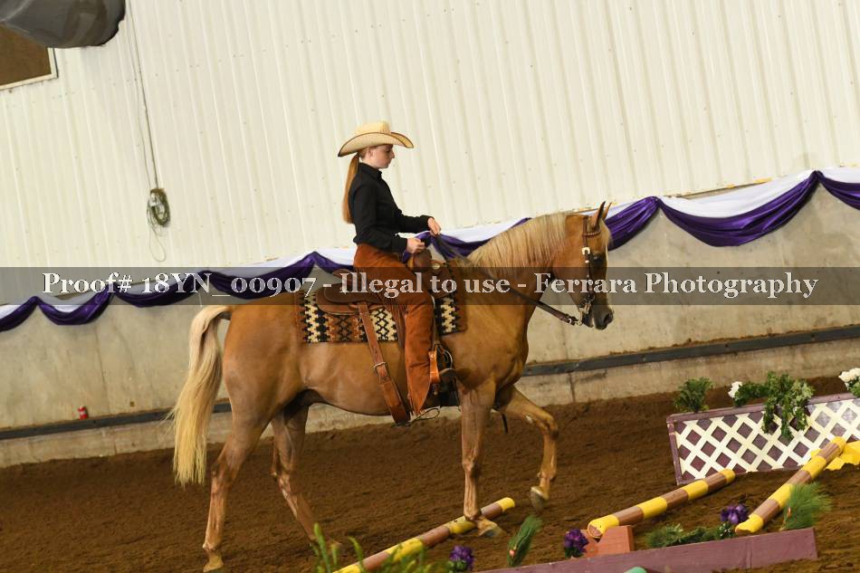 Proof 18YN_00907