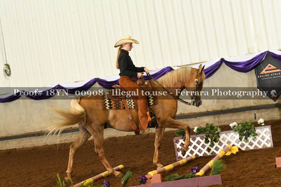 Proof 18YN_00908
