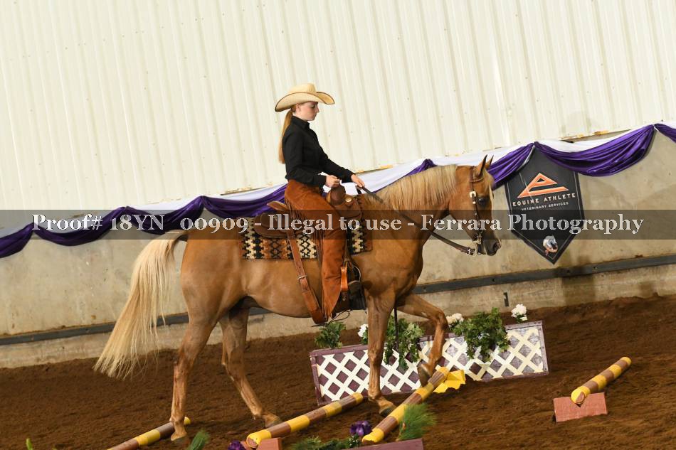 Proof 18YN_00909