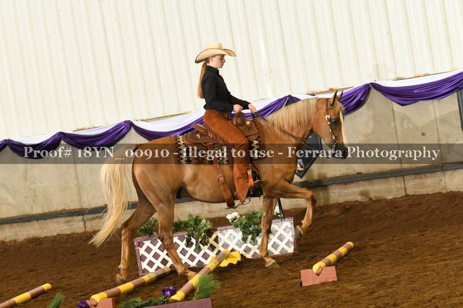 Proof 18YN_00910