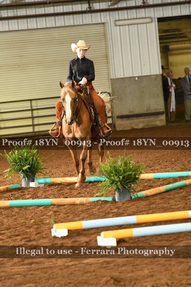 Proof 18YN_00913