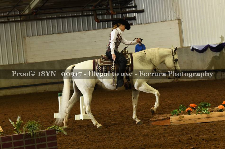 Proof 18YN_00917