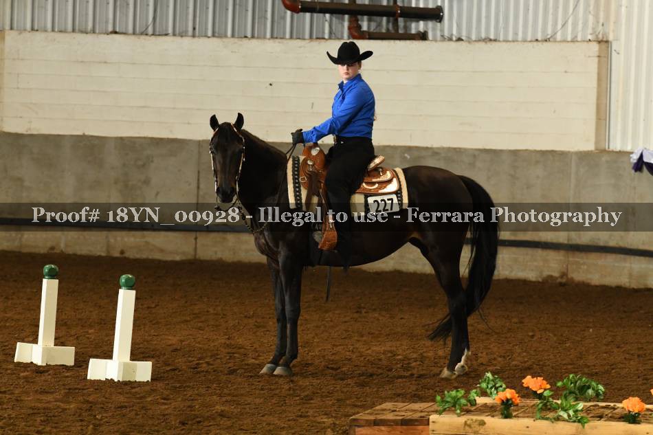 Proof 18YN_00928