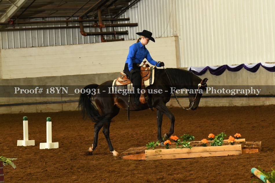 Proof 18YN_00931
