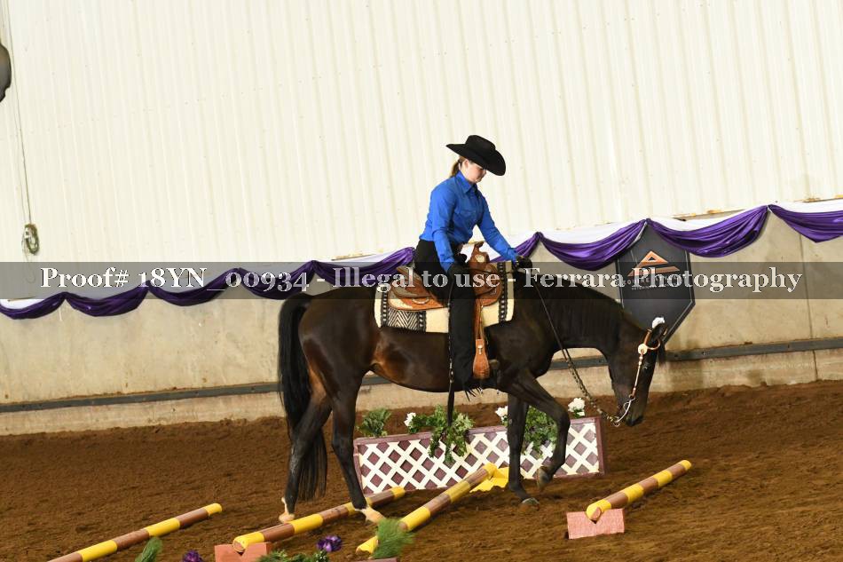 Proof 18YN_00934