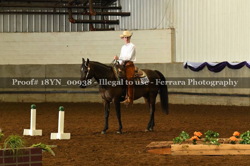 Proof 18YN_00938