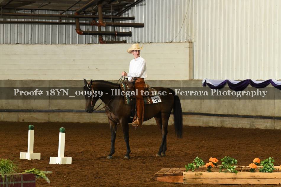 Proof 18YN_00939