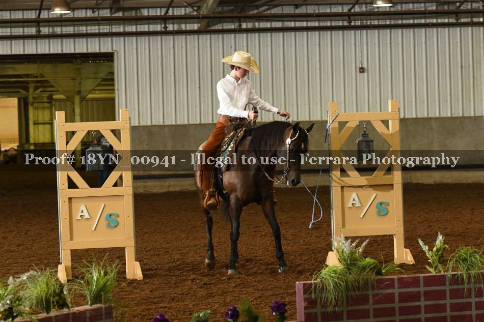Proof 18YN_00941