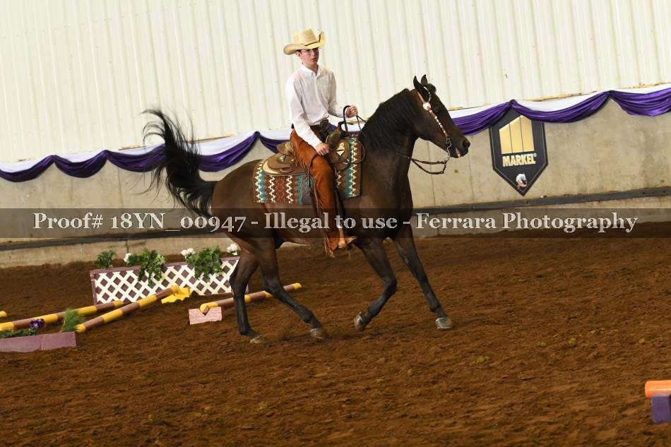 Proof 18YN_00947