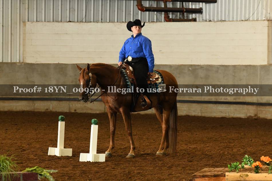 Proof 18YN_00950