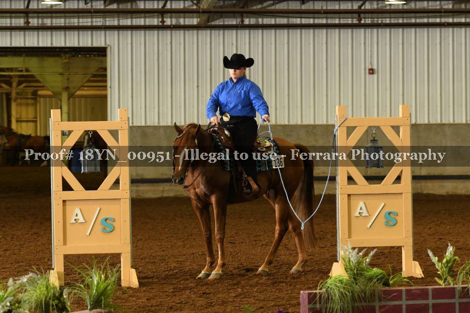 Proof 18YN_00951