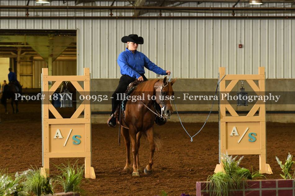 Proof 18YN_00952