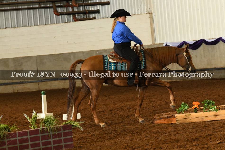 Proof 18YN_00953