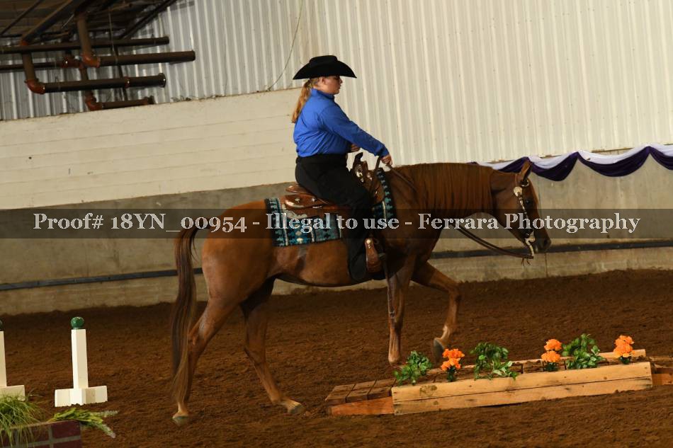 Proof 18YN_00954