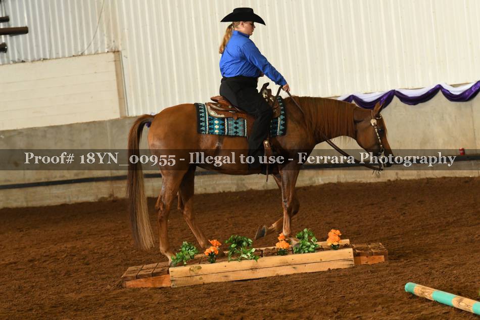 Proof 18YN_00955