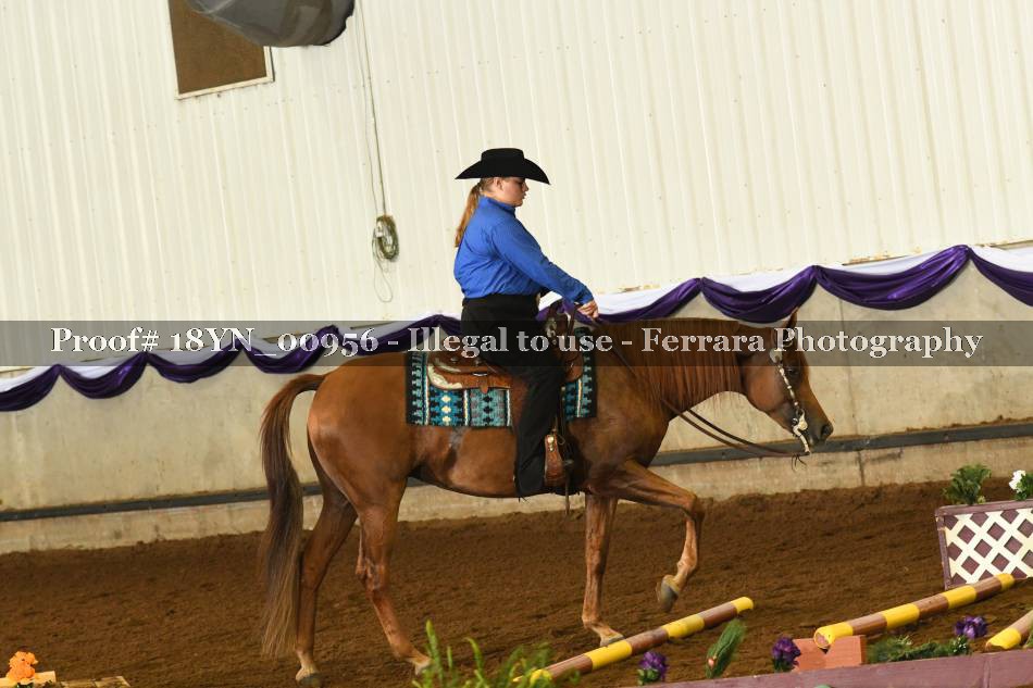Proof 18YN_00956