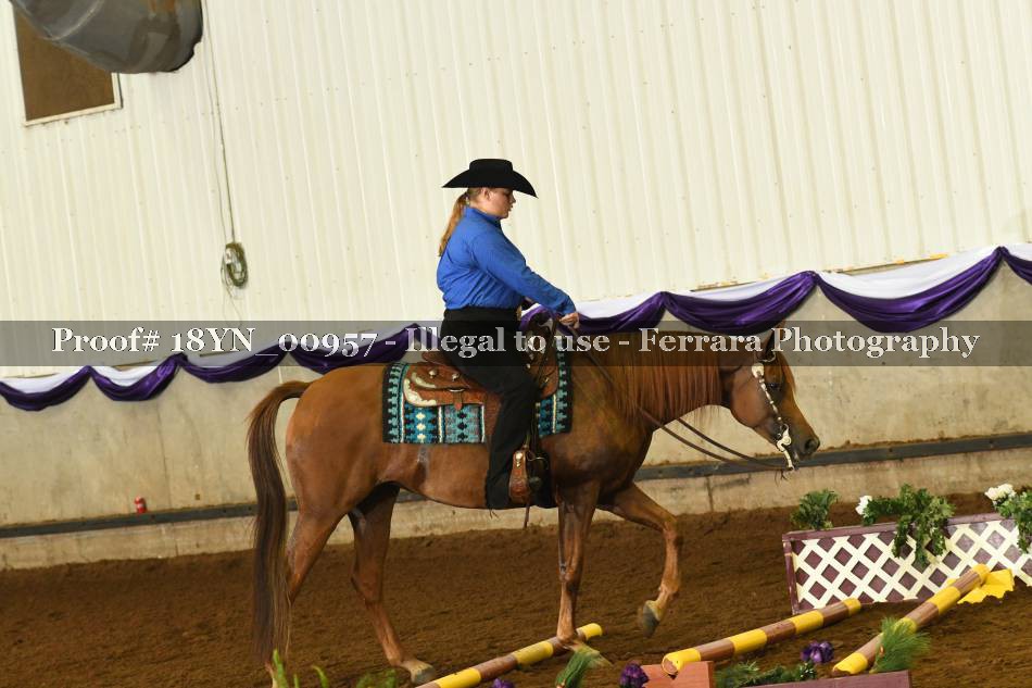 Proof 18YN_00957