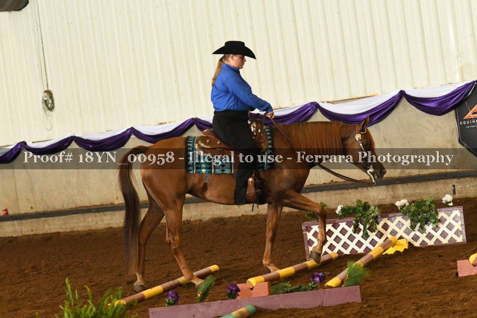 Proof 18YN_00958