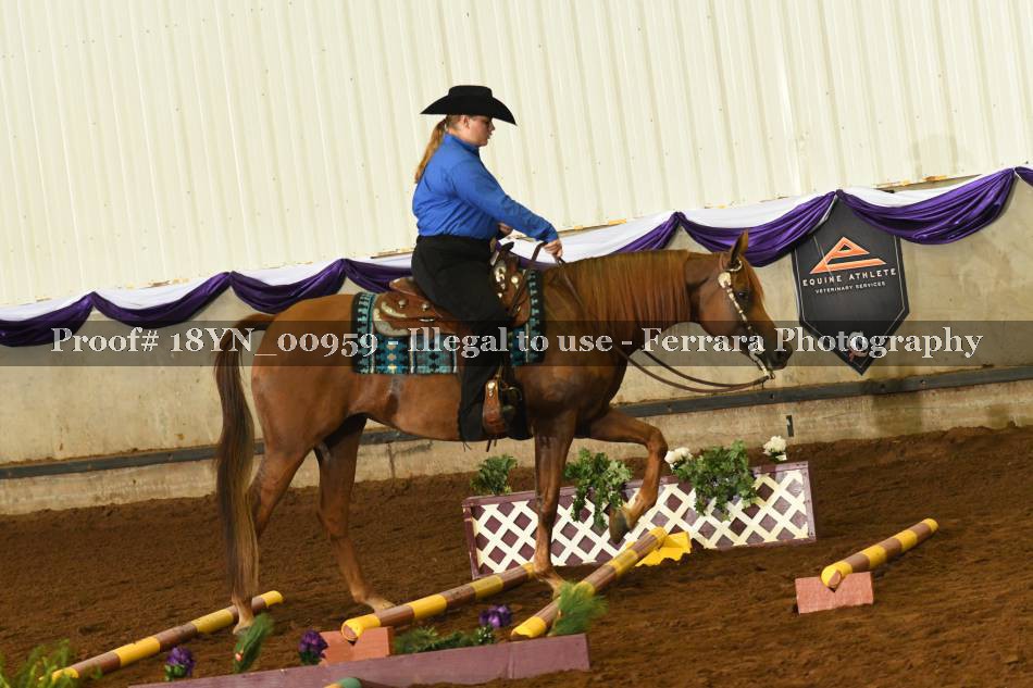 Proof 18YN_00959