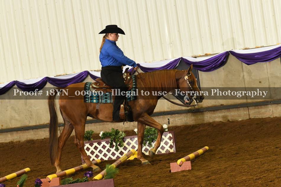 Proof 18YN_00960