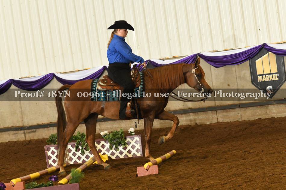 Proof 18YN_00961