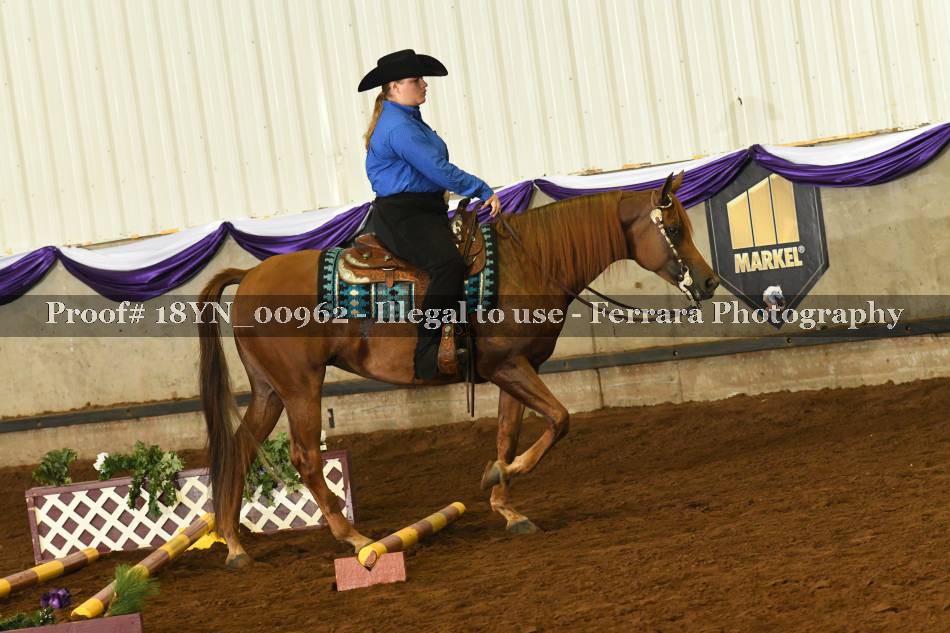 Proof 18YN_00962