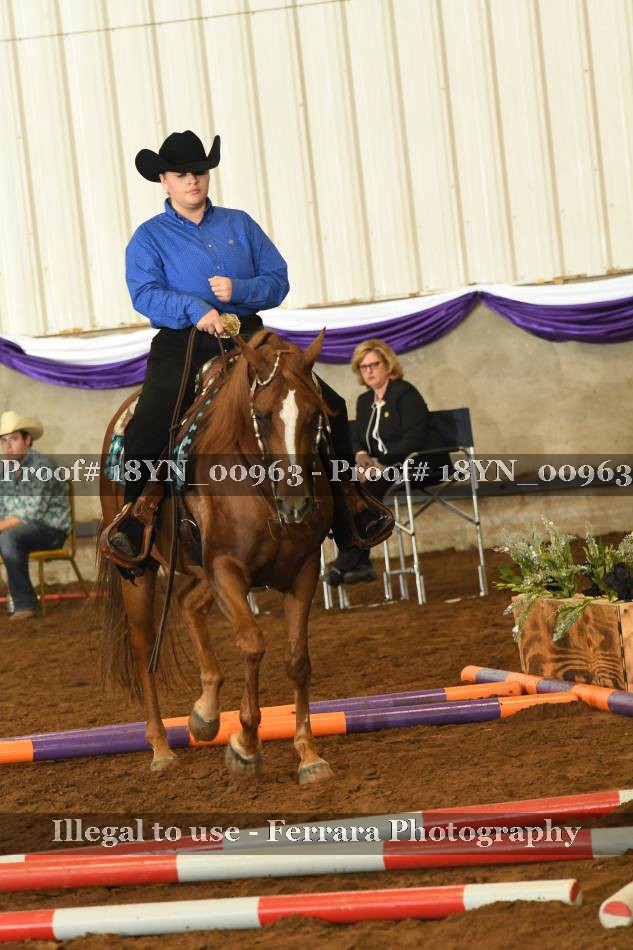 Proof 18YN_00963