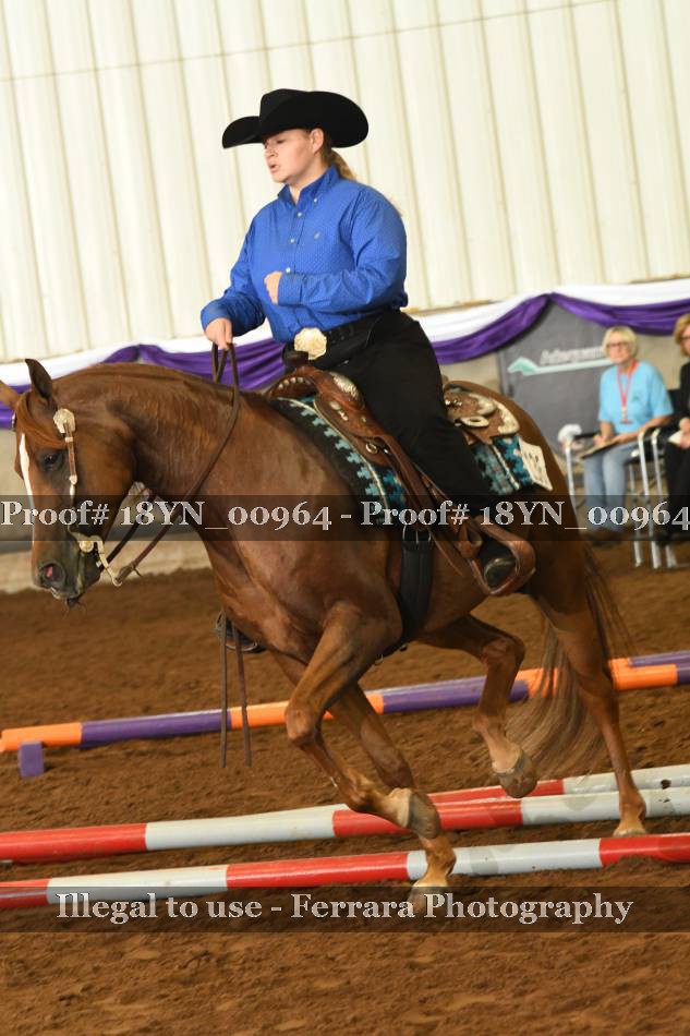 Proof 18YN_00964