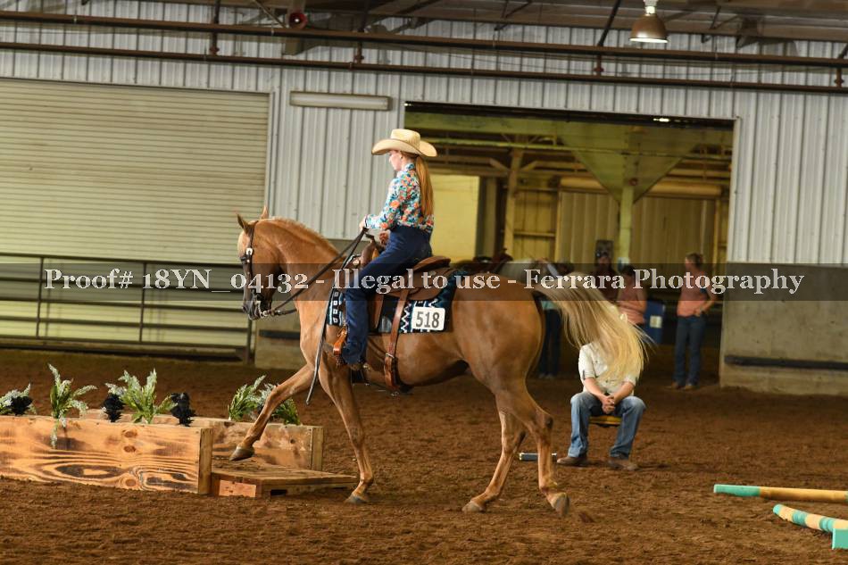 Proof 18YN_04132
