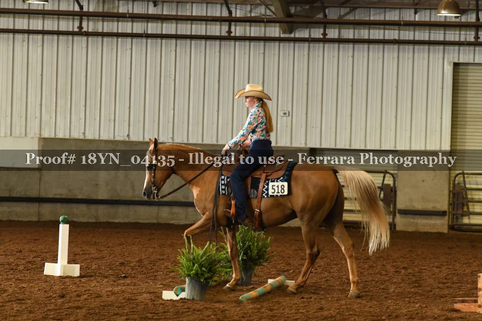 Proof 18YN_04135