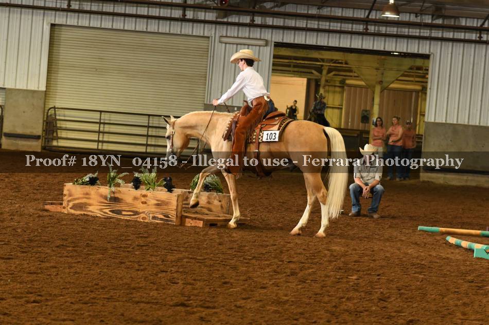 Proof 18YN_04158