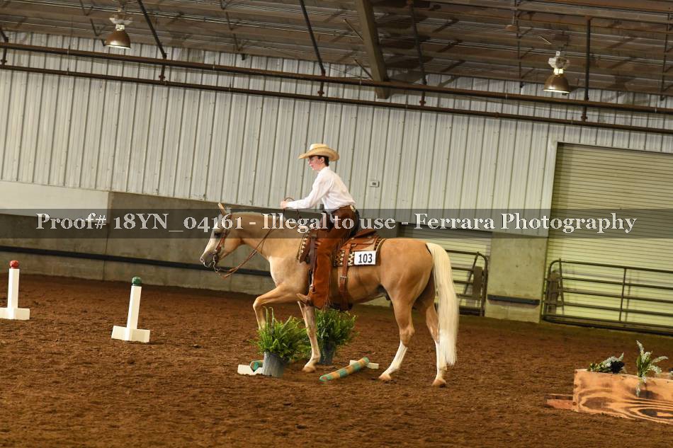 Proof 18YN_04161