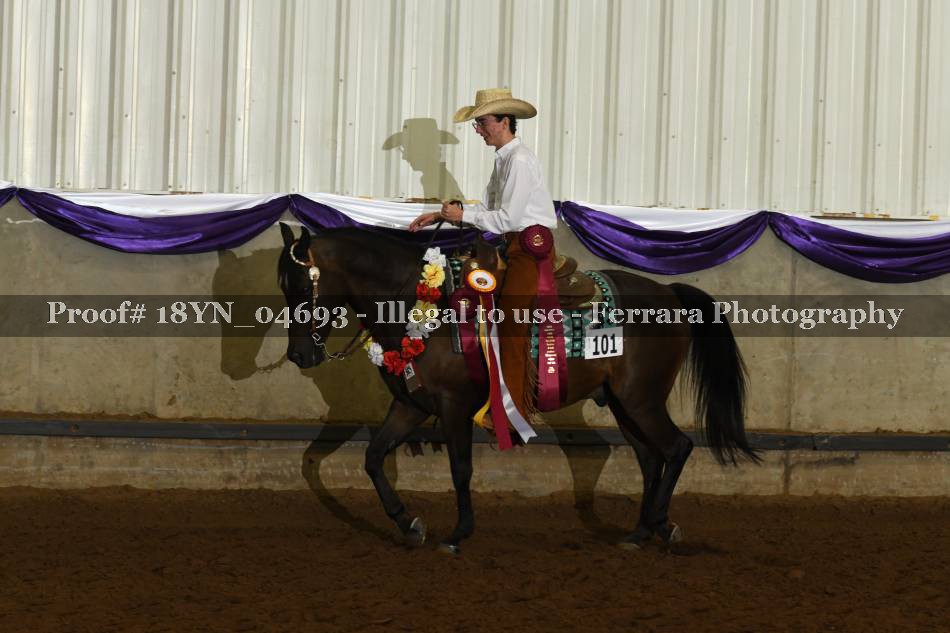 Proof 18YN_04693