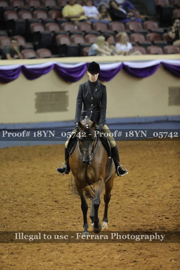 Proof 18YN_05742