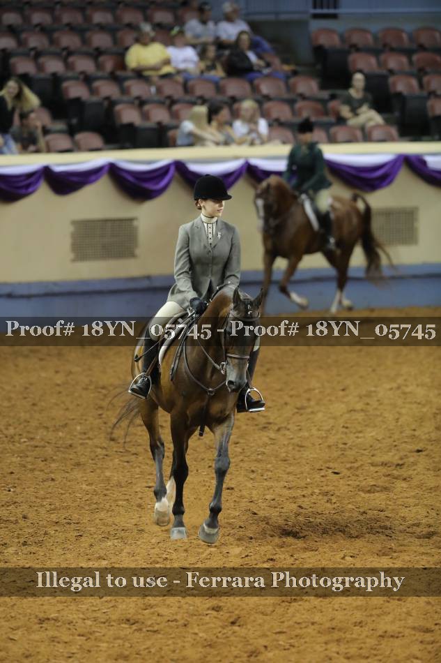 Proof 18YN_05745