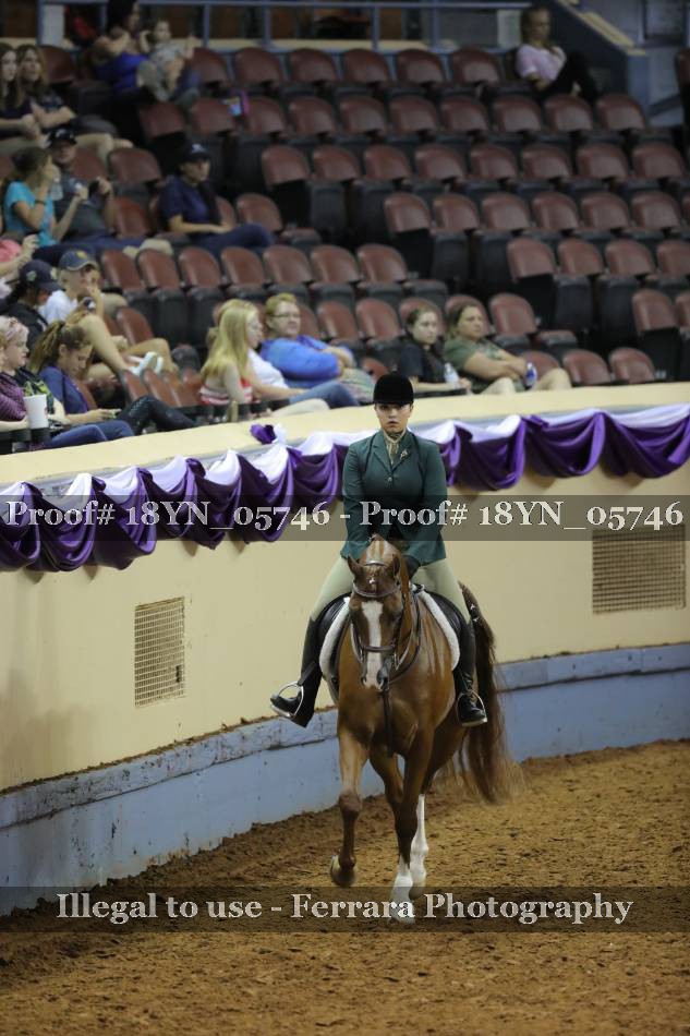 Proof 18YN_05746