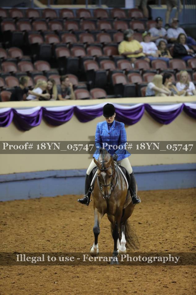 Proof 18YN_05747