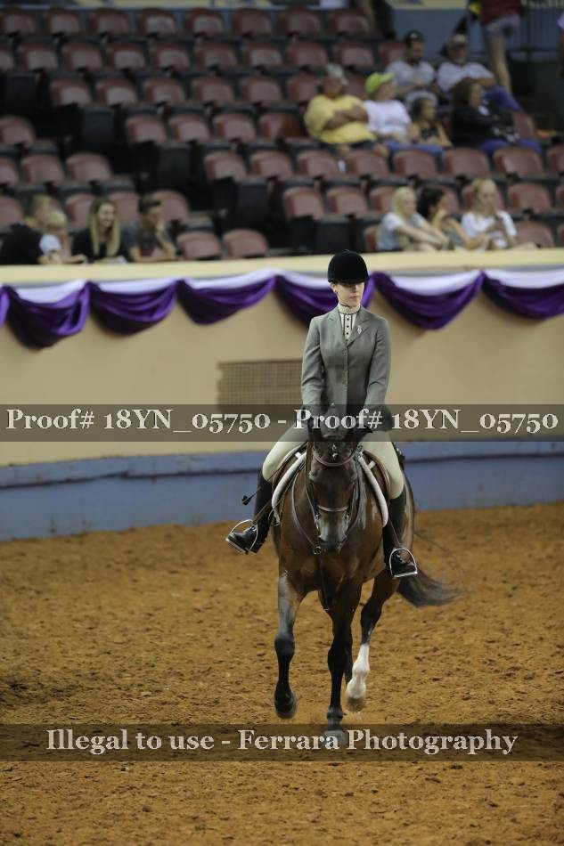 Proof 18YN_05750