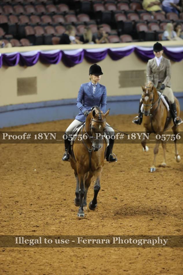 Proof 18YN_05756