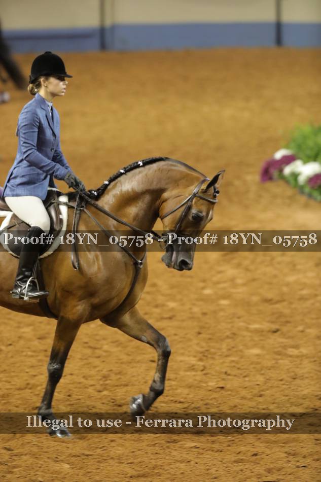 Proof 18YN_05758