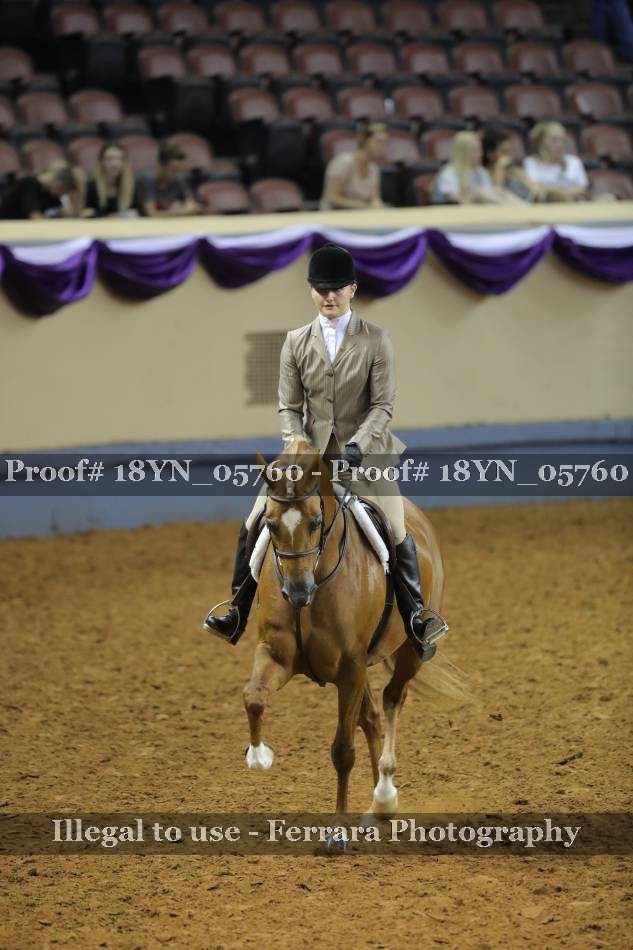Proof 18YN_05760