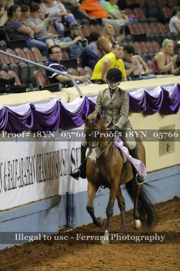 Proof 18YN_05766